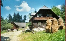Plenznerhütte und Wassermühle, Josef Wagner